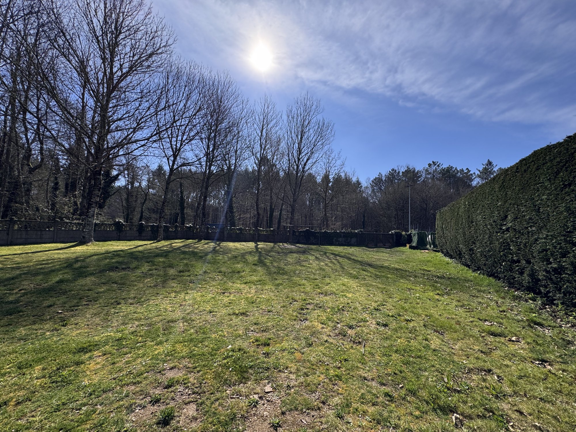Open lawn bordered by mature trees