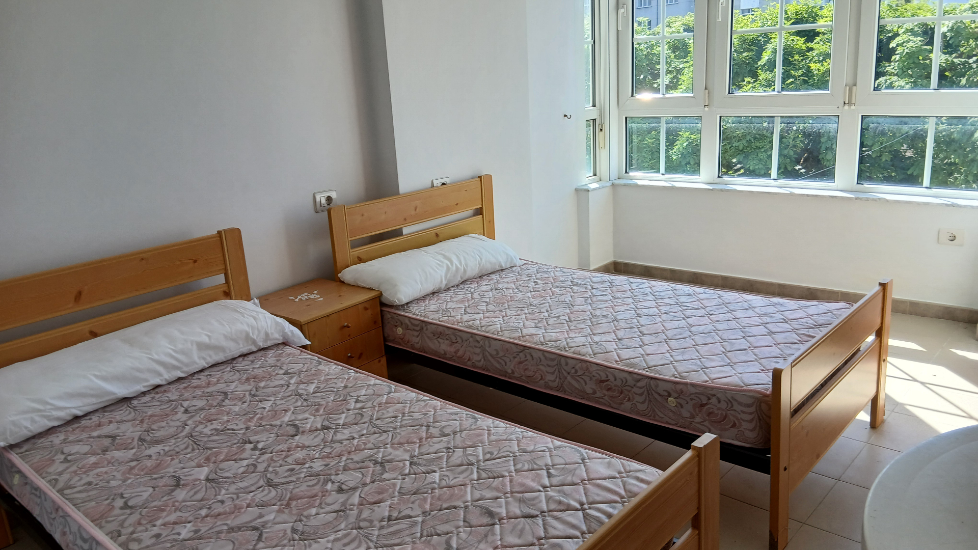 Twin-bed hostel room with garden view