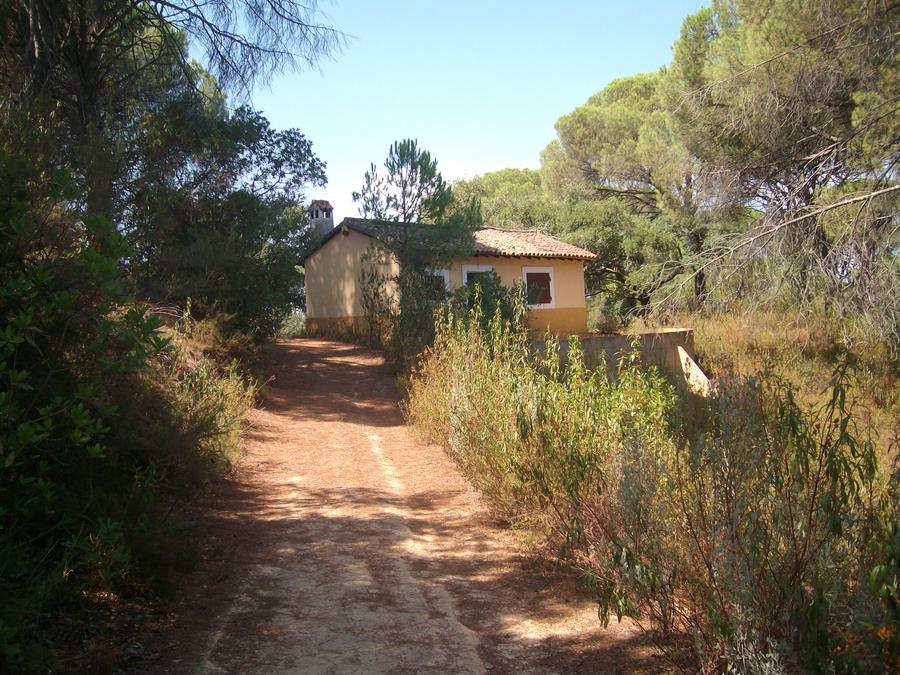 The estate at a glance