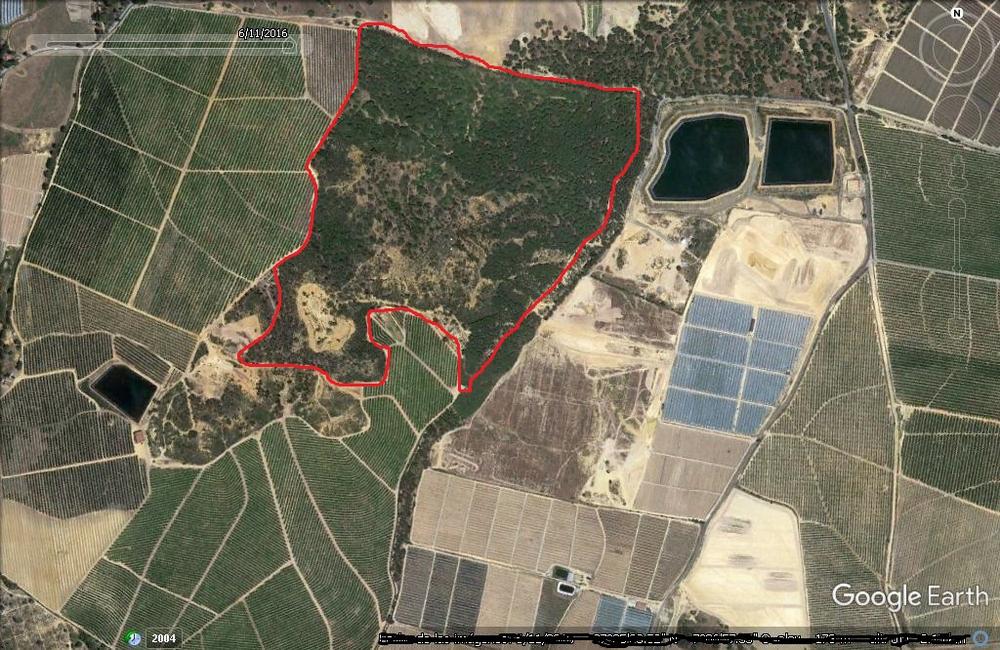 Aerial view of the 43-hectare estate with red boundary line